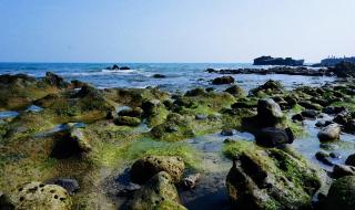 空气是甜的女人现状 空气是甜的女人现状