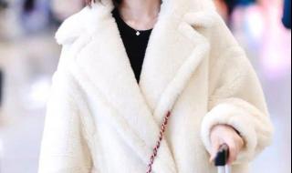 天龙八部墨镜猫 天龙八部墨镜猫