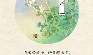 终归小满胜万全